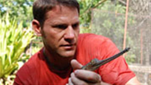 Steve backshall was born