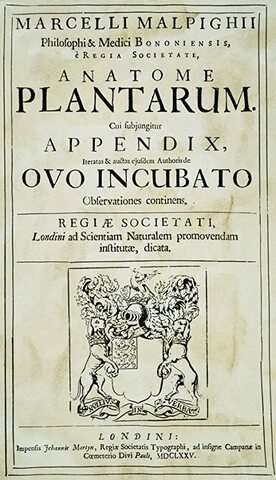 Marcelo Malpighi, pública "Anatome Plantarum"