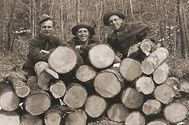 Civilian Conservations Corps (CCC)