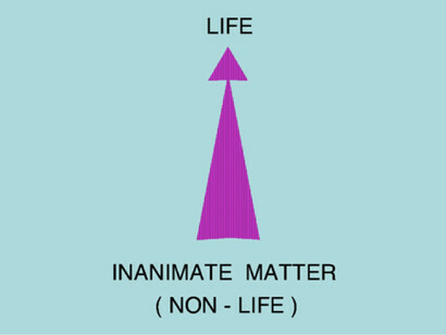 The Gap Between Inanimate Matter & Life