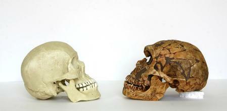 Aparición de los hombres modernos