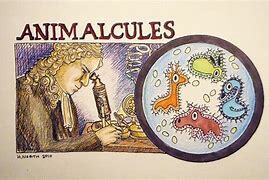 particles were observed and claimed animalcules