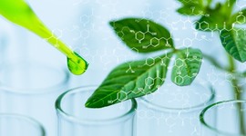 Timeline: Biotecnología. Britany Alarcon - Roberto Castillo