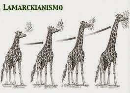 Teoría Evolutiva de Lamarck