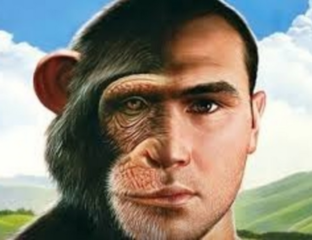 Composición del ADN humano