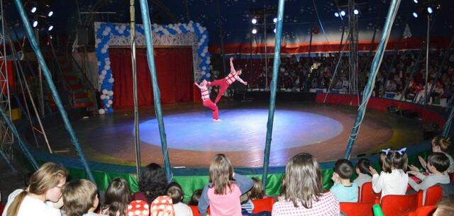 Tiranës Cirku (Albania)