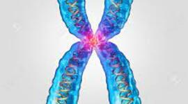 Timeline: El descubrimiento del ADN es uno de los logros más importantes de la Historia de la Humanidad. Fue clave para comprender los fundamentos que constituyen la vida y ha tenido un impacto muy importantes en muchos campos de investigación.