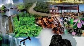 Timeline: Naturaleza en Asia