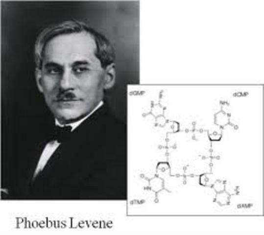 Phoebus Levene, un bioquímico que descubrió la desoxirribosa