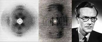 William Astbur, el ADN  es una fibra periódica