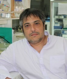 M. Ezquer / F. Ezquer; J. Carpio; M. Bono, proyecto 1200308.