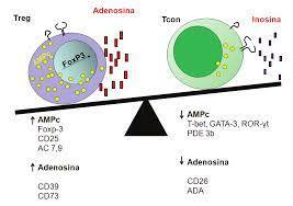 D. Sauma / A. Lladser; M. Bono, proyecto 1180385.