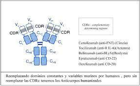 M. C. Molina y J. C. Aguillón.