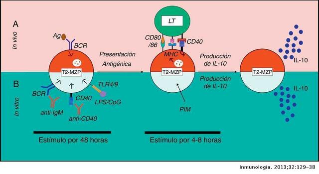 M. Bono / A. Lennon, proyecto C14S02.