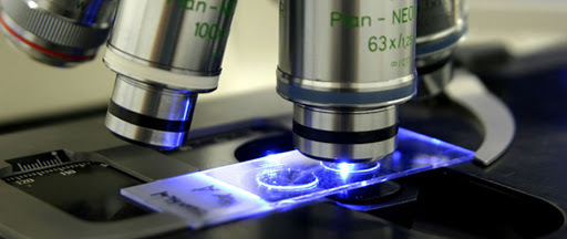 Proyecto EQM-120003 de la Facultad de Ciencias de UCH.