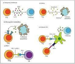 M. Rosemblatt / M. Bono, proyecto 1100448.