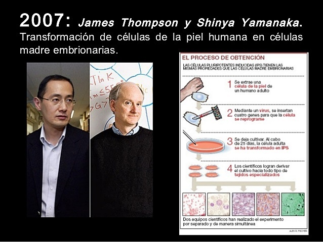 James Thompson y Shinya Yamanaka, Transformaron de Células de la Piel Humana en Células Madre Embrionarias.