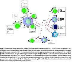 M. Rosemblatt / M. Bono, Proyecto 1030074.