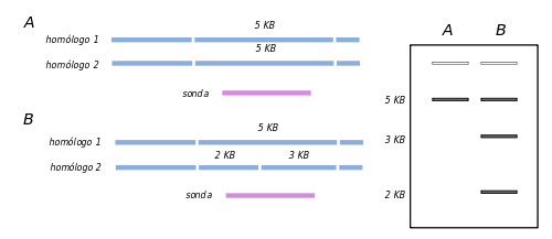Edward Southern, Secante de Southern.