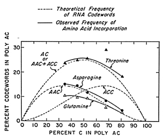M. Nirenberg (Genetista), H. G. Khorana (Biólogo), S. Brenner (Bióloga) y S. Ochoa (Médico), El código genético