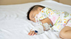 Timeline: Erickson Timeline - Amber Chapin