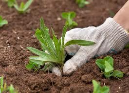 ottava giornata di  tirocinio