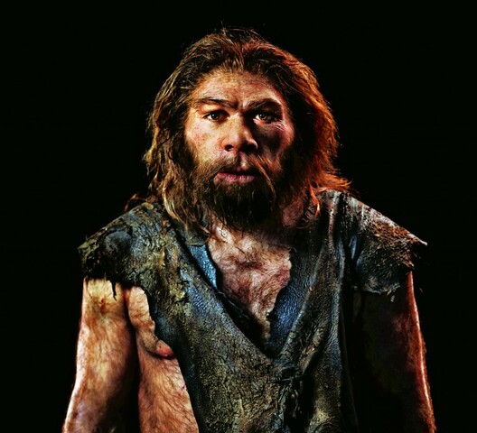 Primeros miembros del género Homo a la peninsula iberica