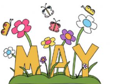 In MAY, the flowers bloom and there are lots of insects