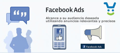 Concepto de Facebook de Publicidad (2007)