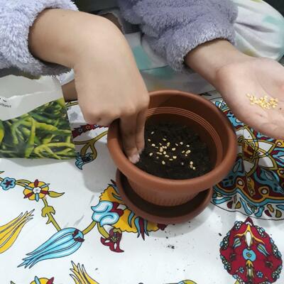 Timeline: MY SEEDS ARE GROWİNG YEEEE :)