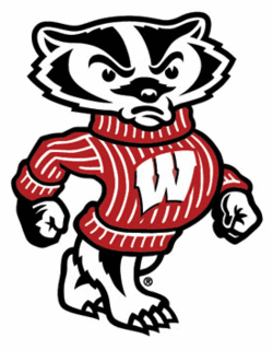 Safe Badgers