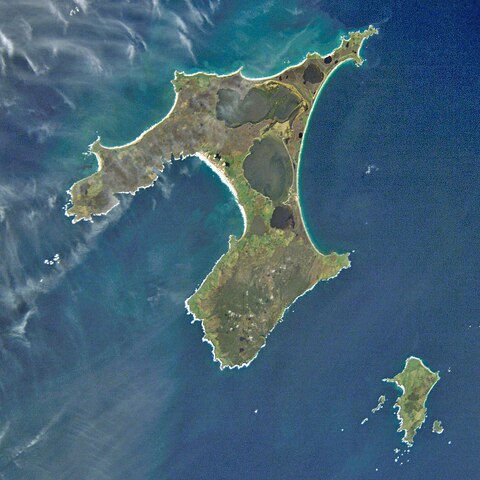Chatham Island