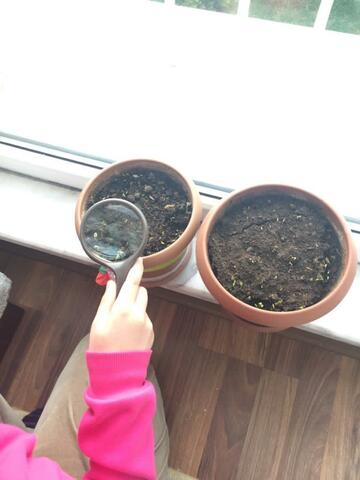 I AM SO HAPPY .. LO0K AT MY SEEDS :)