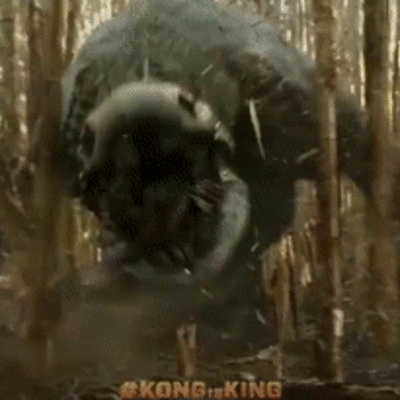 Timeline: when islands were found