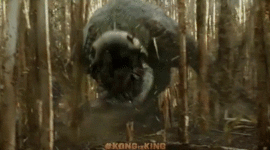 Timeline: when islands were found