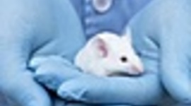 Timeline: Origen y evolución del condicionamiento clásico y condicionamiento operante