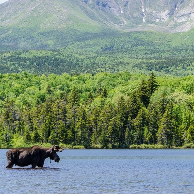 Timeline: The History of Maine