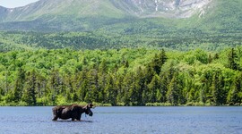 Timeline: The History of Maine