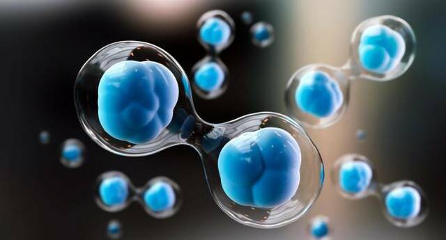 Origen de las células