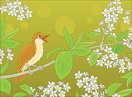 EDAD MEDIA (SIGLO V - XV)