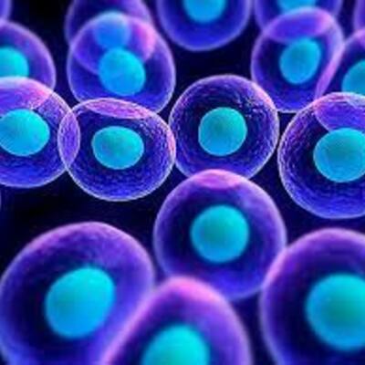 Timeline: Hechos históricos en el estudio de la Biología Celular y Molecular.