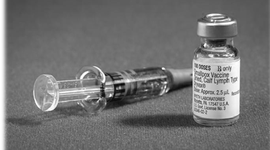 Timeline: Vacunas- Anis, Forquera y Rivera