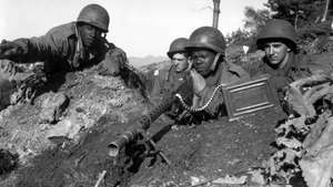 Executive Order 9981 (Constitutional Issues and Laws)