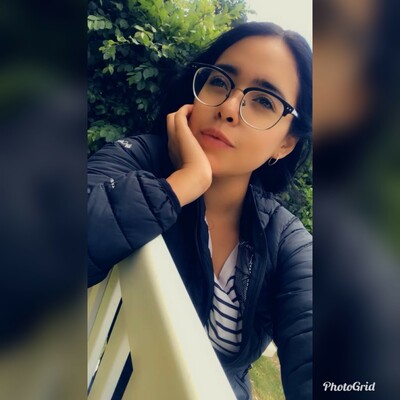 Timeline: AnaKaren Tovar Ortiz