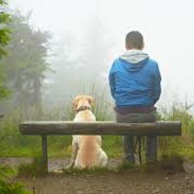 Timeline: Карта продвижения по проекту