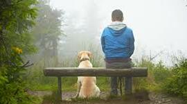 Timeline: Карта продвижения по проекту