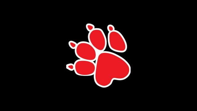 Naughty Dog. Новое начало