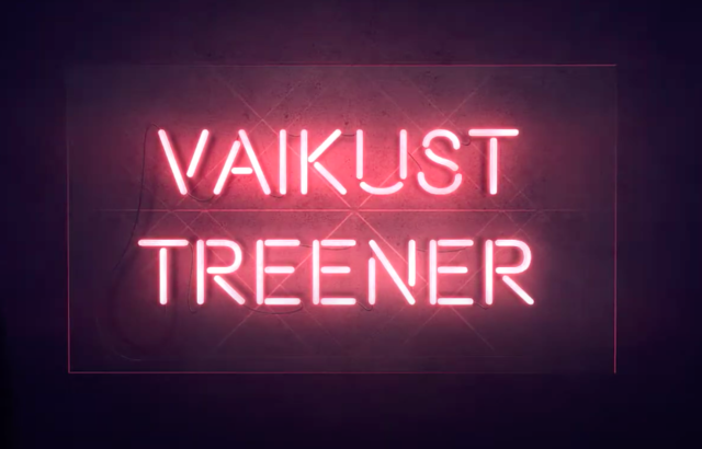 "Ma olen treener" videoüllatus dotE tantsuperele