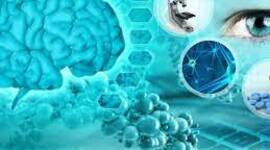 Timeline: Importantes eventos en la neurociencia