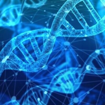 Timeline: STORIA DEL DNA